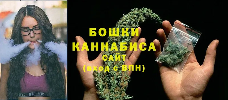 наркошоп  Снежногорск  это как зайти  Бошки Шишки OG Kush 